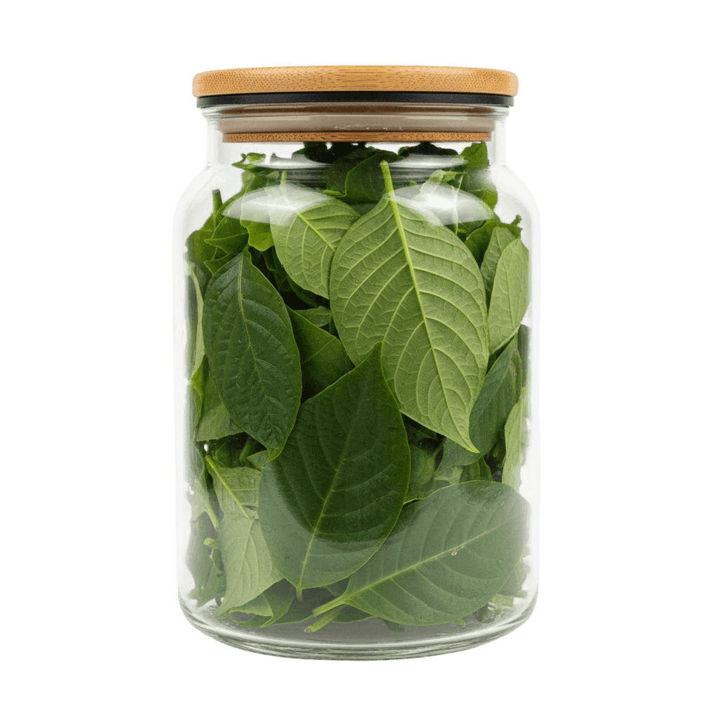 Vivadzen certified product