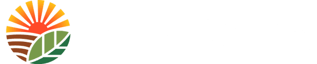 Logo Vivadzen