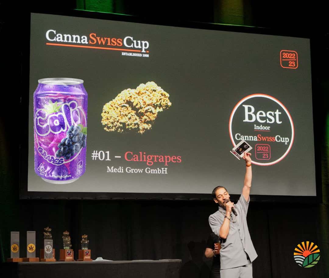 Vítěz CannaSwissCupu: CBD – Cali Grapes od SOZHIETY