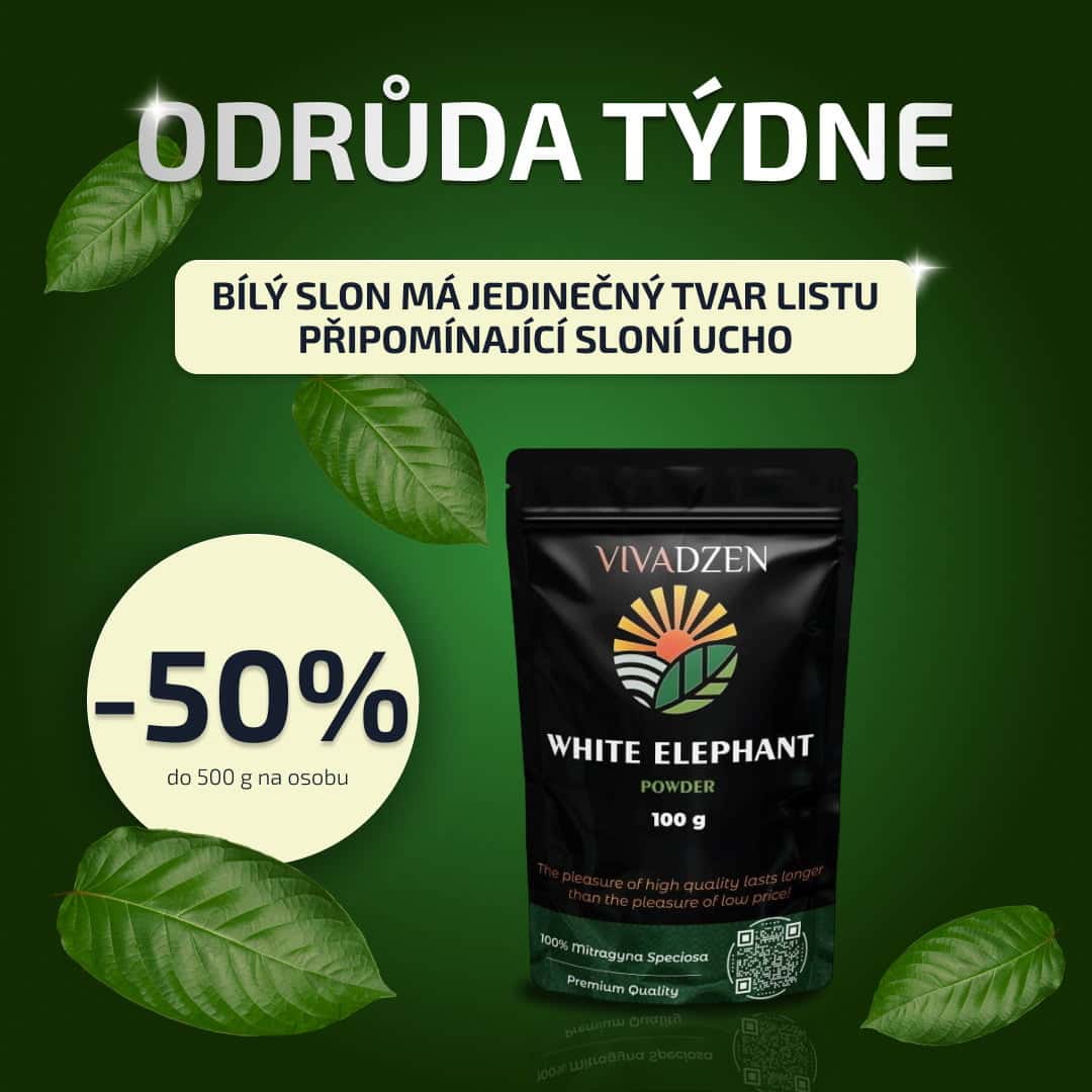 Nová odrůda sezóny Bílý Slon Kratom