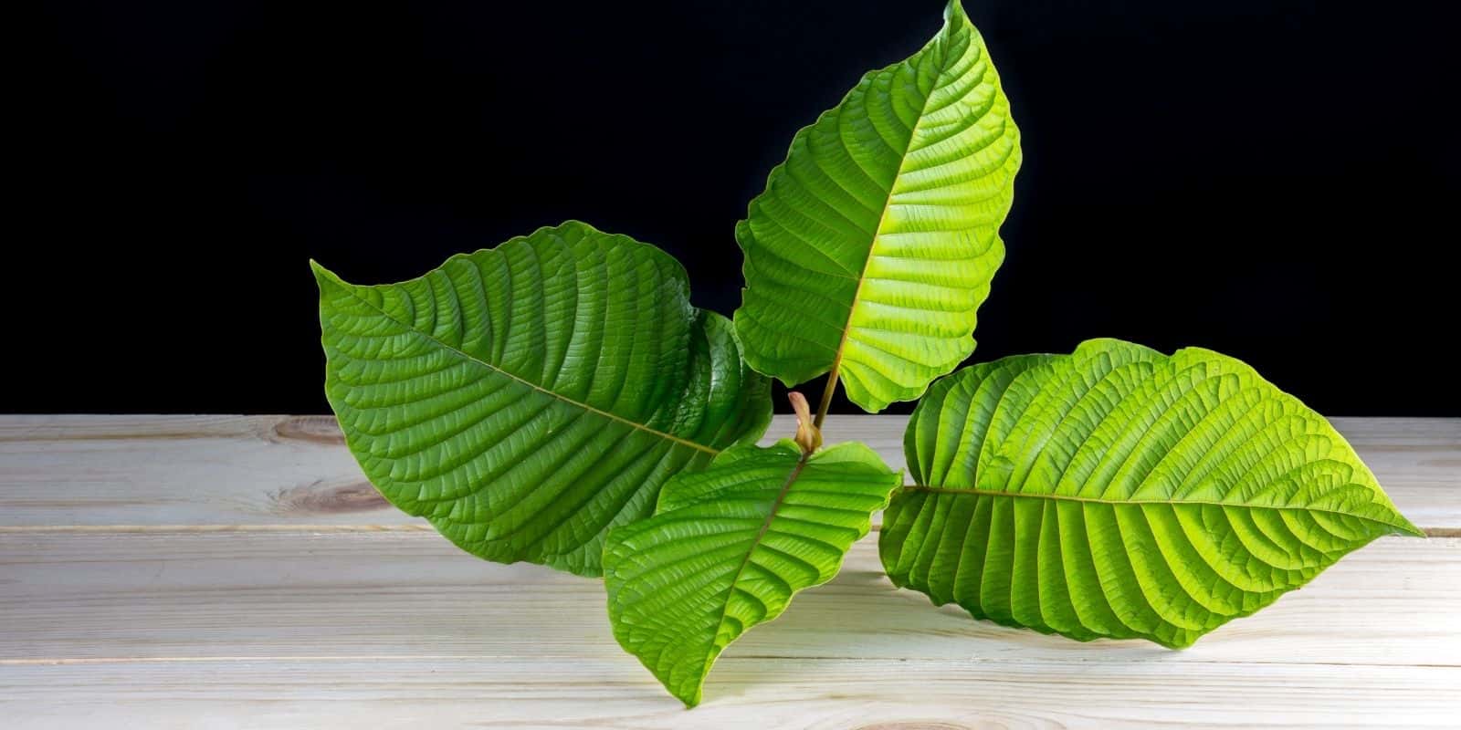 Green Thai Kratom crushed leaf