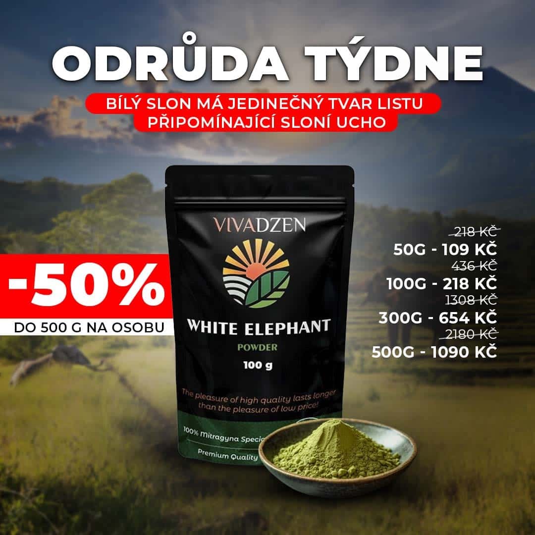 Odhalte svůj potenciál s Bílým Slonem -50%!