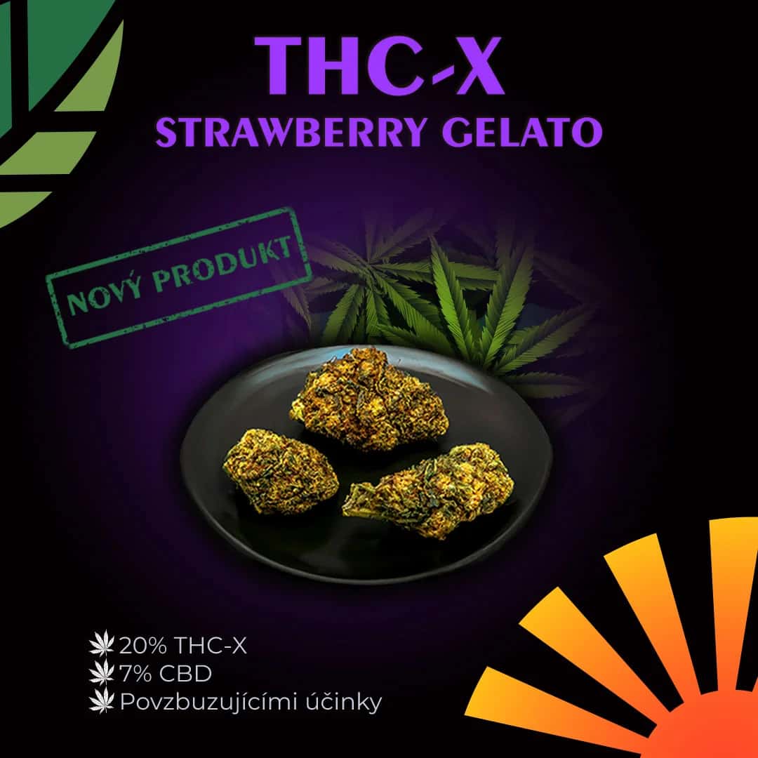 Novinka od VivaDzen! THC-X Strawberry Gelato ⚡️🍓
