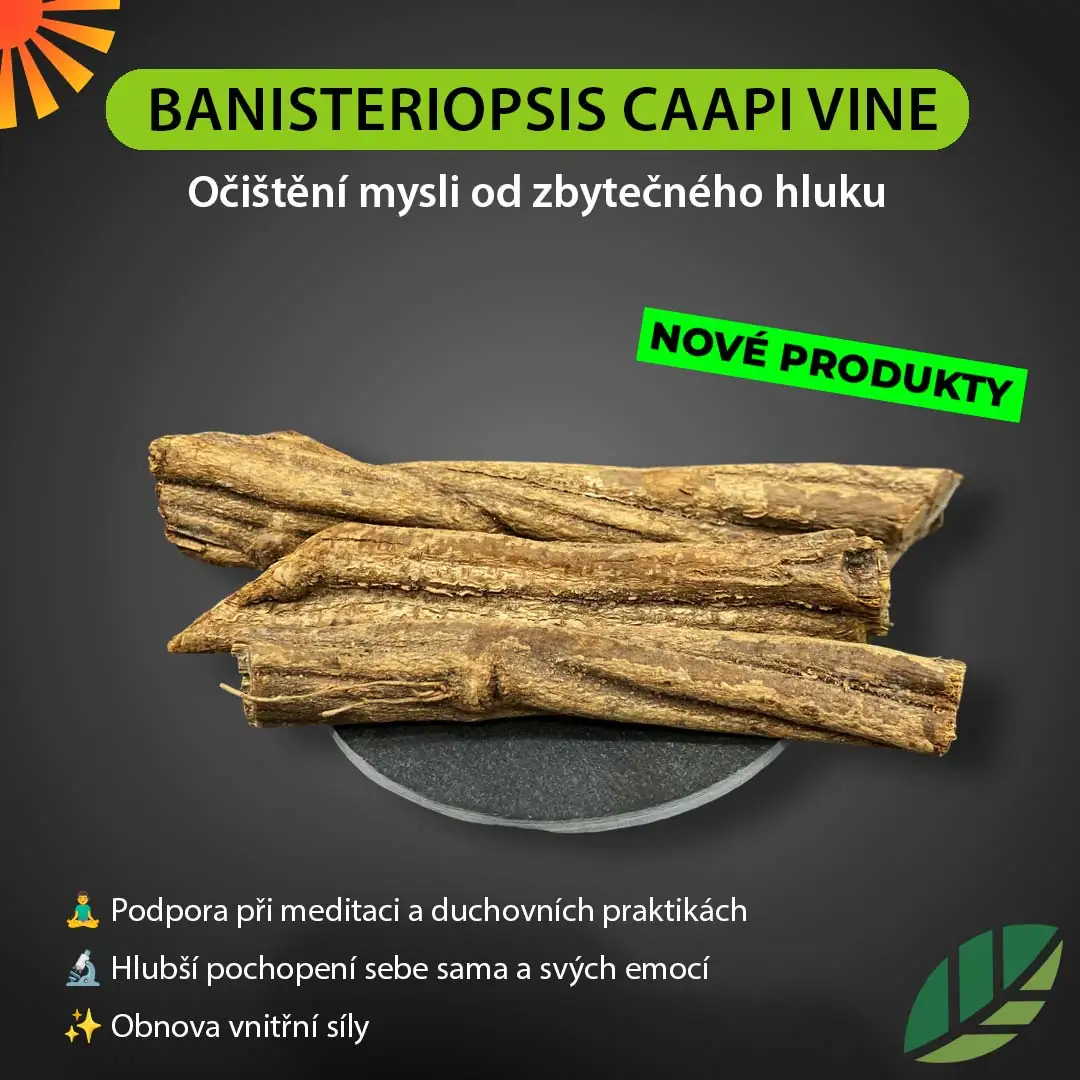 Banisteriopsis Caapi:Přirozená cesta k hlubšímu sebepoznání