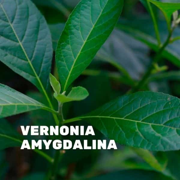 Máme pro vás dvě skvělé novinky, které rozhodně stojí za vyzkoušení!