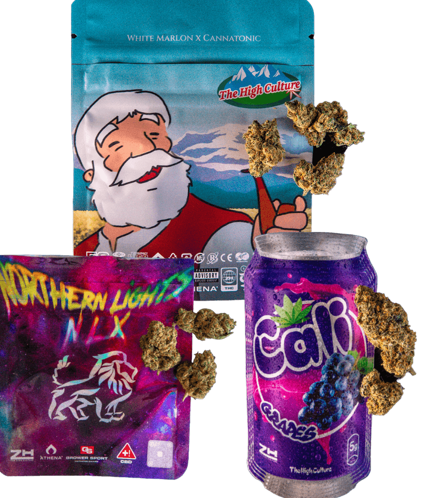 Assortment of VivaDzen wellness products