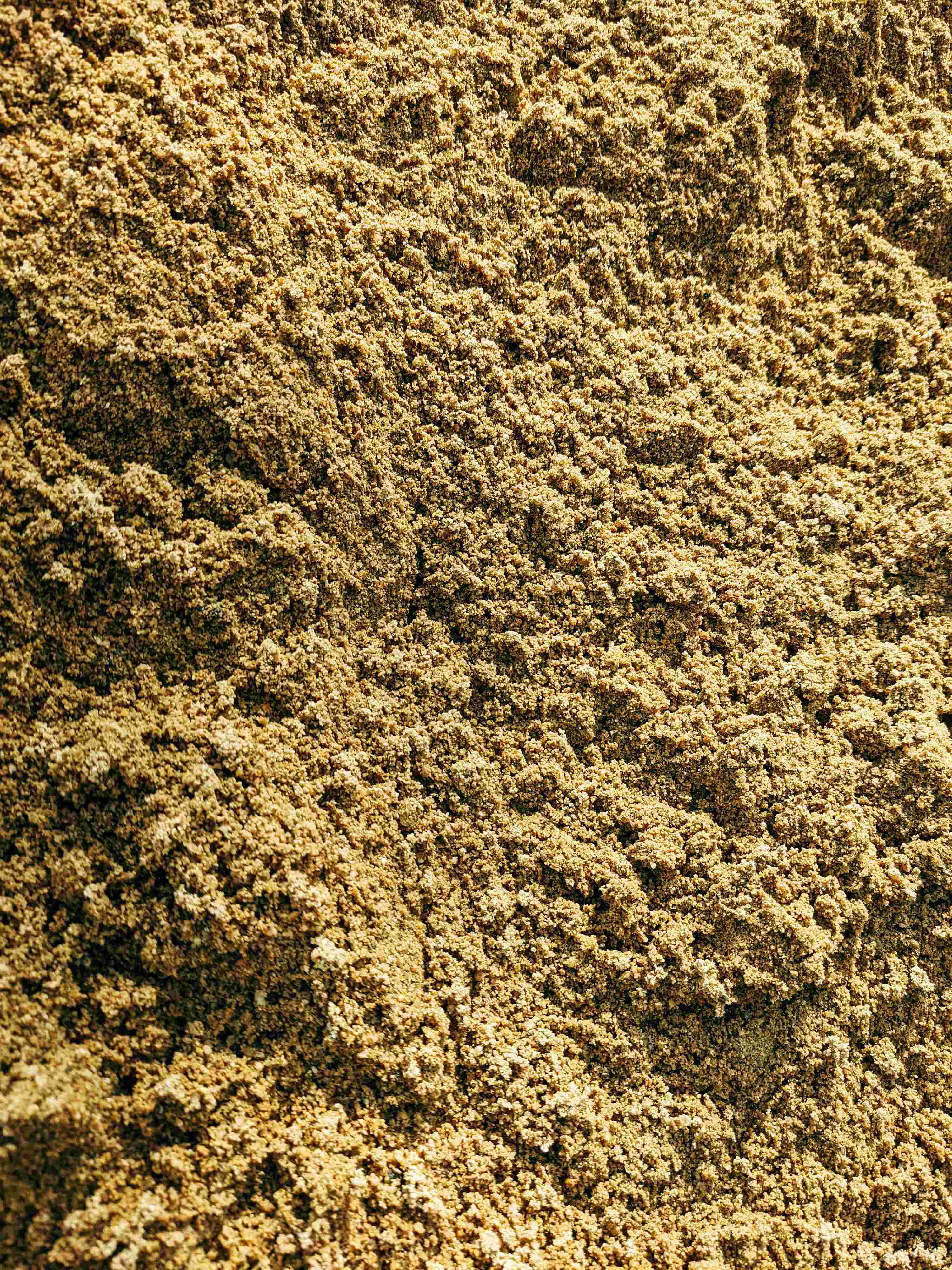 Origin and export of kratom 2025 – Why country and batch matter: Indonesia vs Thailand