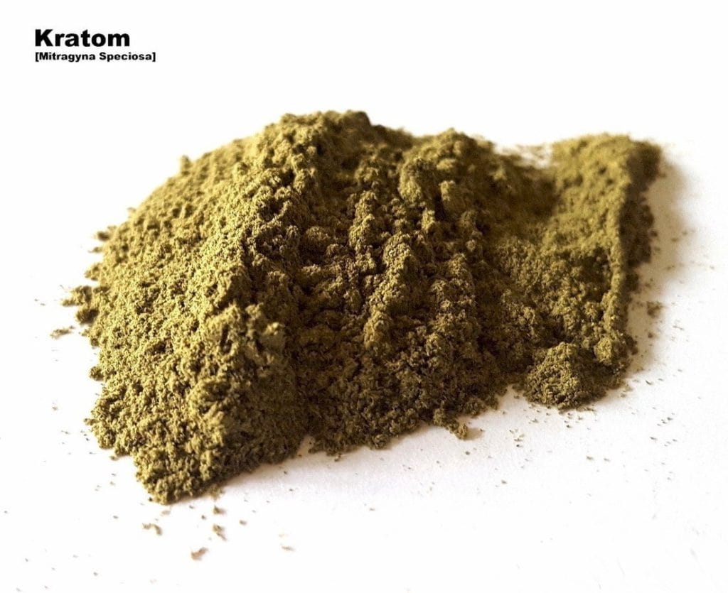 Jak koupit kratom kvalitní a jak poznat dobrého prodejce
