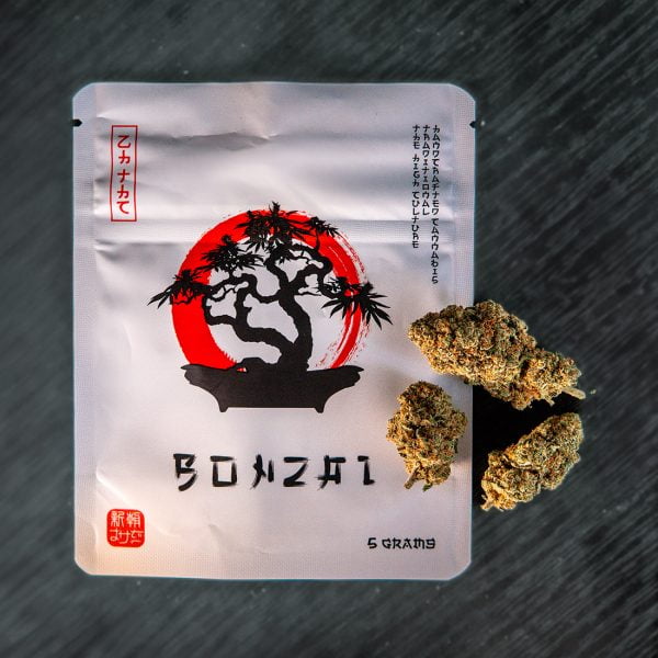 CBD - Bonzai